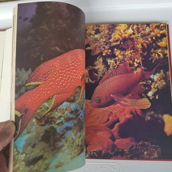 The World of Fish 1975 Peebles Press editor John H - Picture 6 of 16